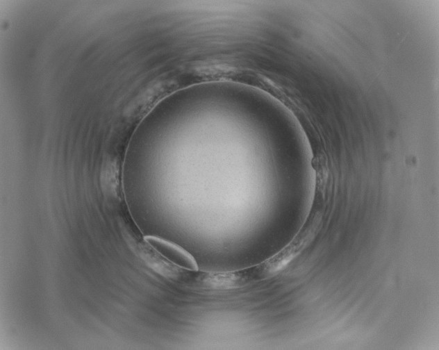 X0000072970767200608041218