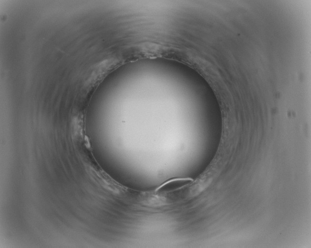 X0000072970768200608041218