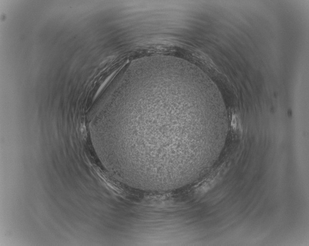 X0000072970771200608041217