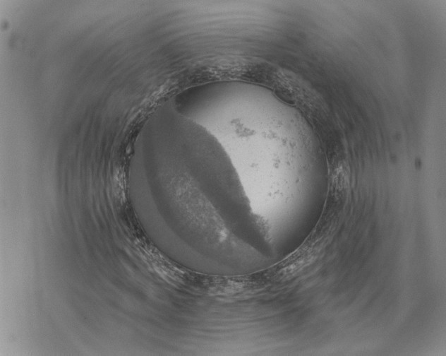 X0000072970772200608041217