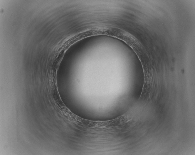 X0000072970773200608041217