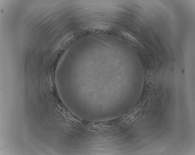 X0000072970774200608041217