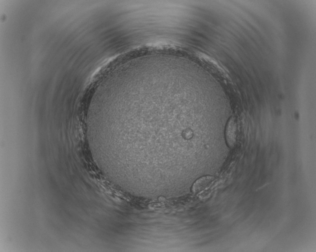 X0000072970776200608041217