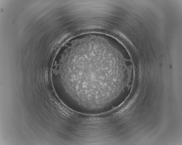 X0000072970777200608041217