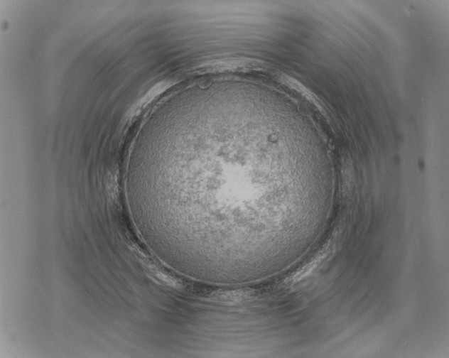 X0000072970778200608041217