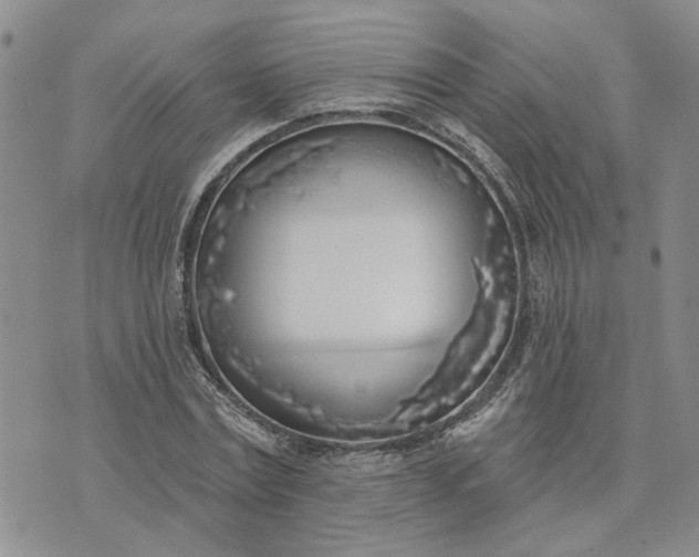 X0000072970779200608041217