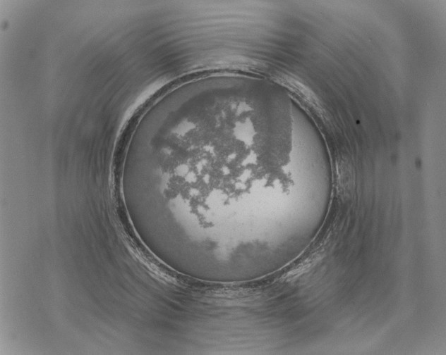 X0000072970780200608041217