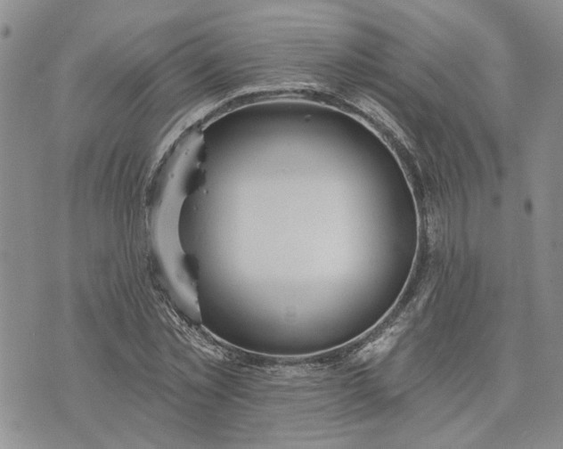 X0000072970781200608041217