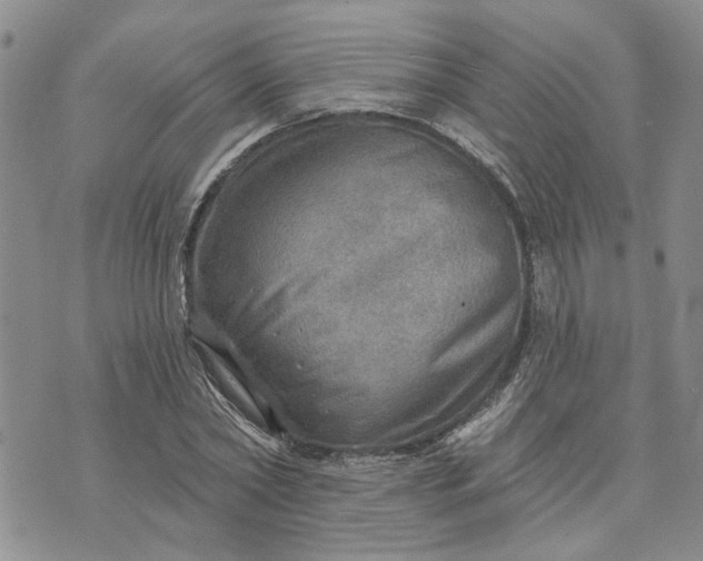 X0000072970782200608041217