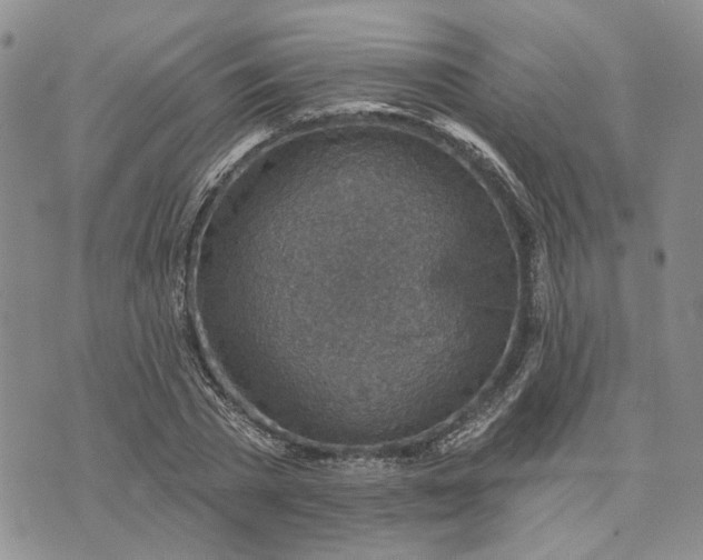 X0000072970785200608041217