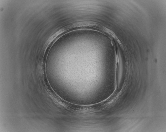 X0000072970786200608041217