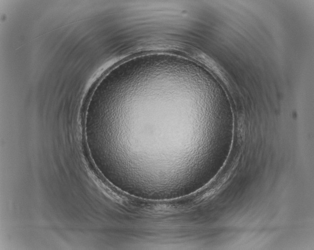 X0000072970787200608041217