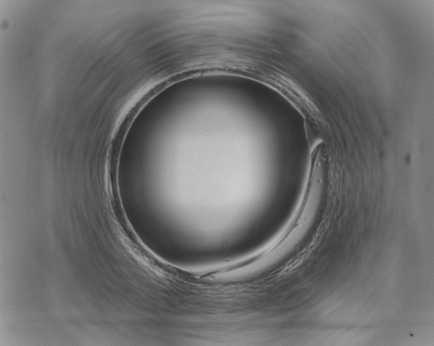 X0000072970788200608041217