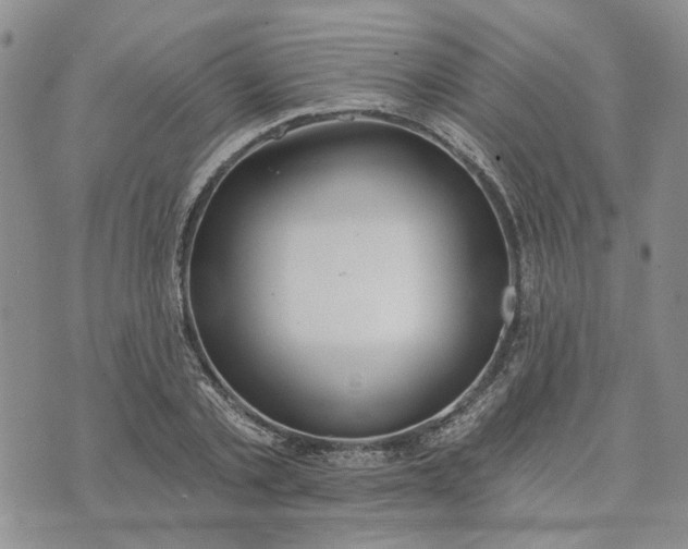 X0000072970789200608041217