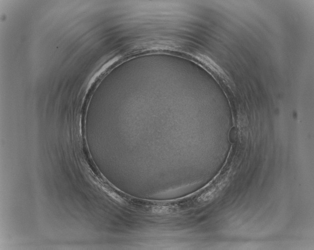 X0000072970790200608041217