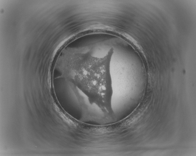 X0000072970791200608041217