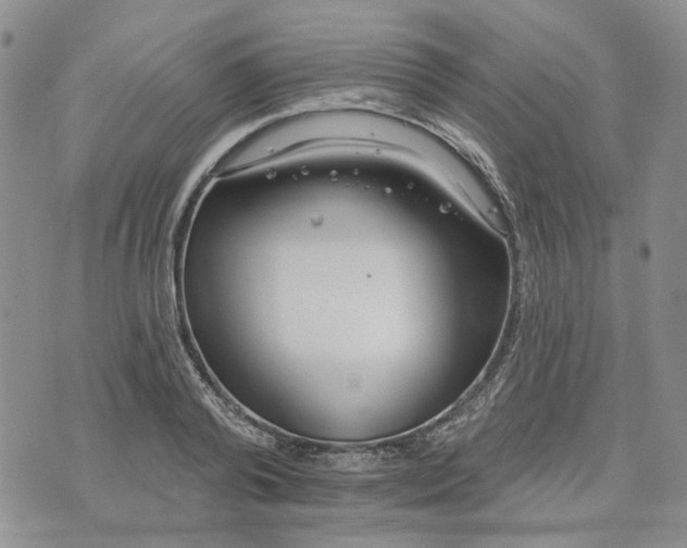 X0000072970792200608041217