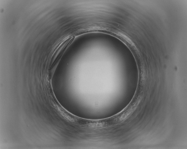 X0000072970793200608041217