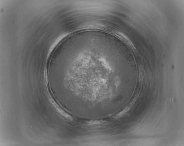 X0000072970796200608041217