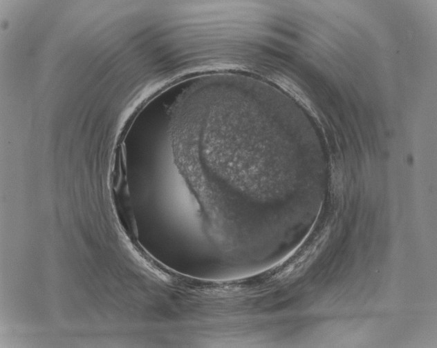 X0000072970797200608041217