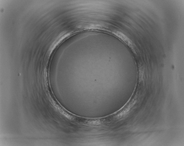 X0000072970798200608041217