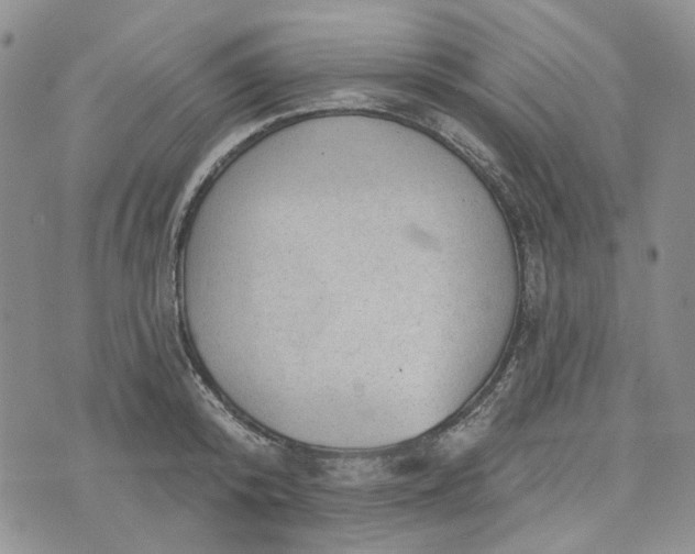 X0000072970800200608041216