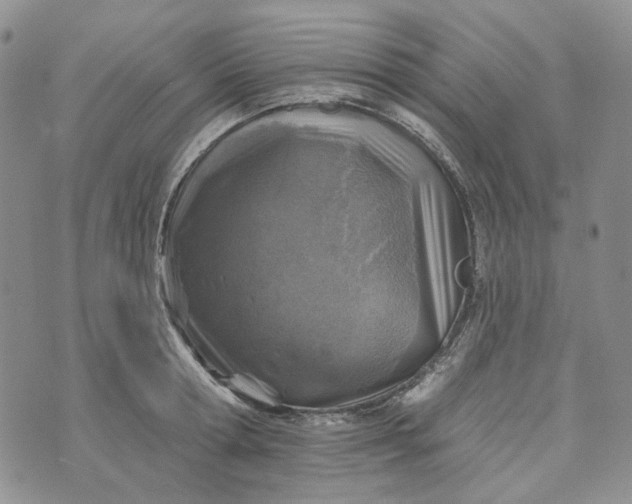 X0000072970802200608041216