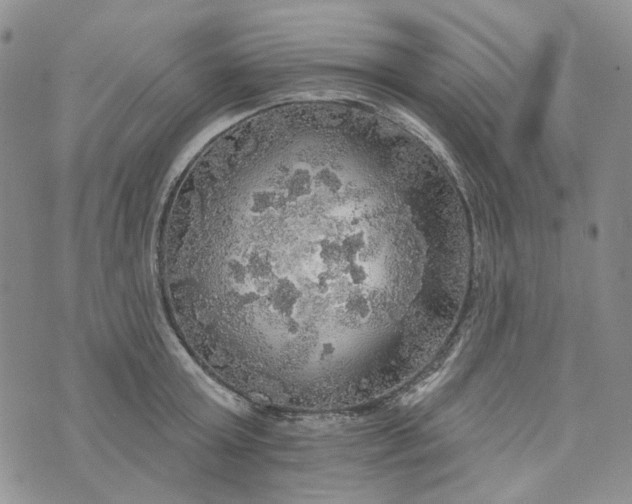 X0000072970803200608041216