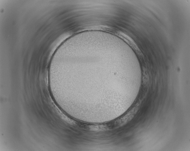 X0000072970804200608041216