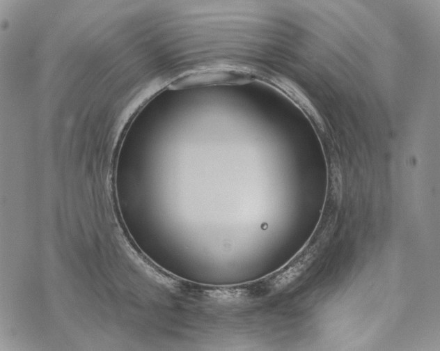 X0000072970805200608041216