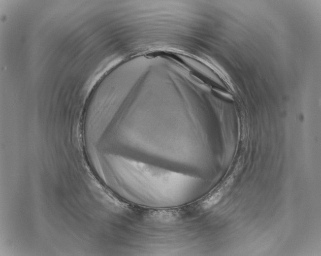 X0000072970806200608041216