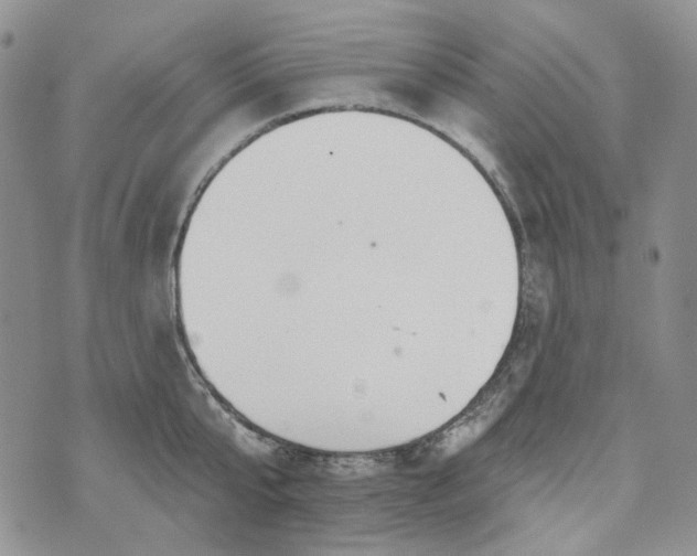 X0000072970807200608041216