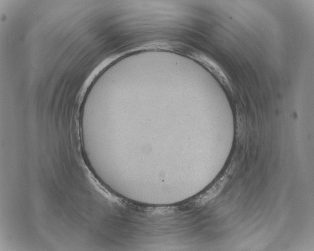 X0000072970808200608041216