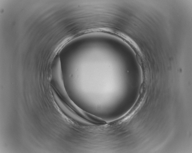 X0000072970809200608041216