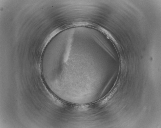 X0000072970810200608041216