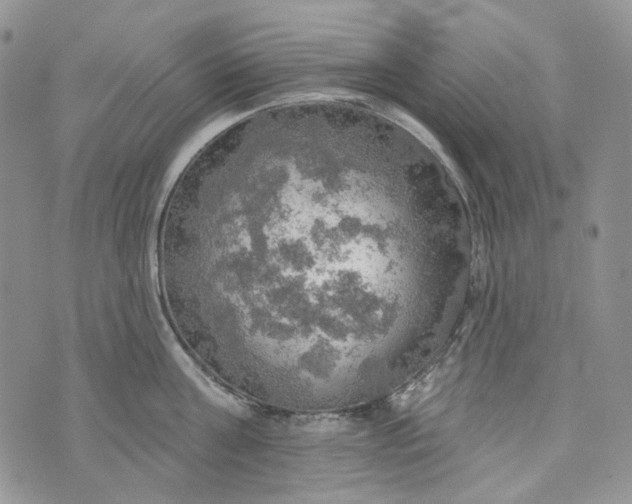 X0000072970811200608041216