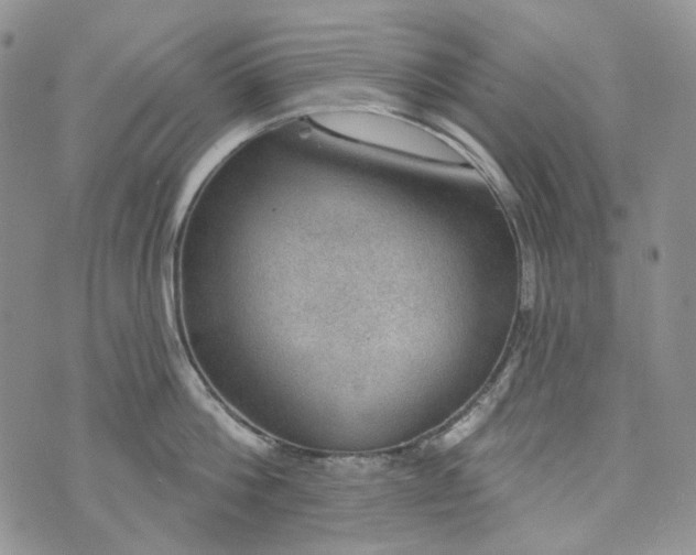 X0000072970812200608041216