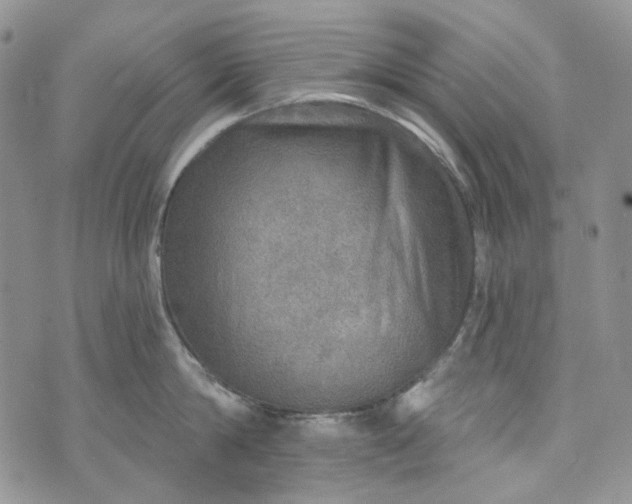 X0000072970814200608041216