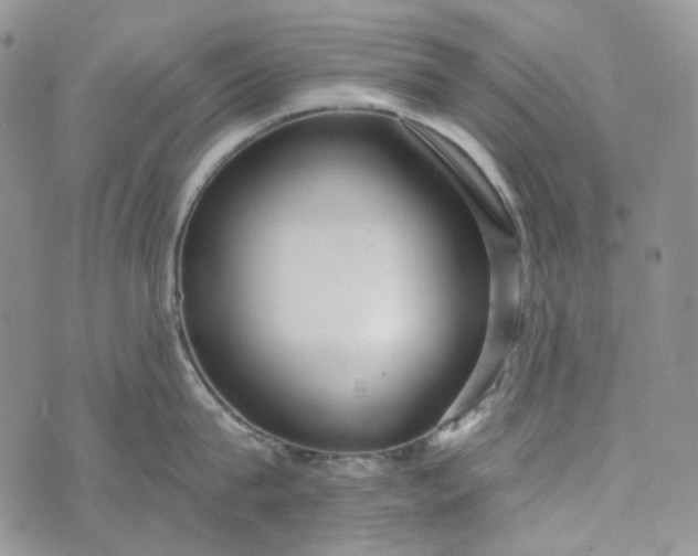 X0000072970815200608041216