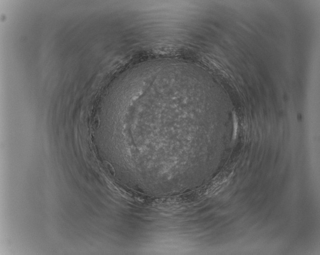 X0000072970817200608041215