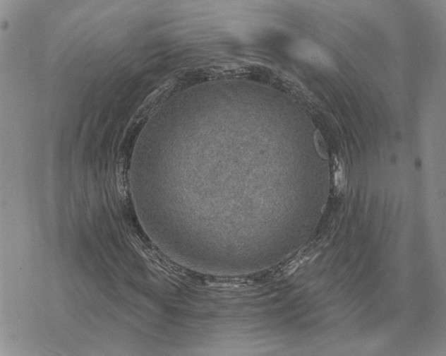 X0000072970819200608041215