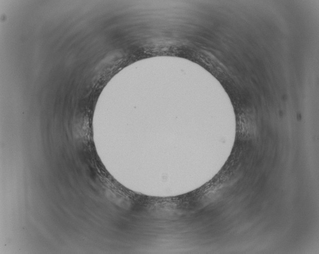 X0000072970820200608041215