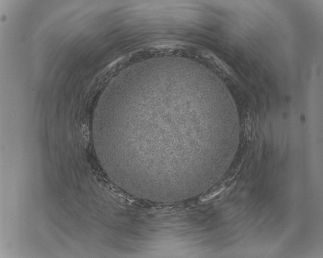 X0000072970821200608041216