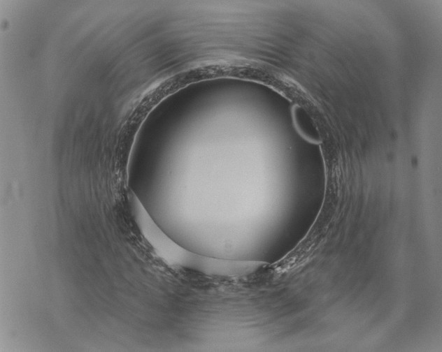 X0000072970822200608041216