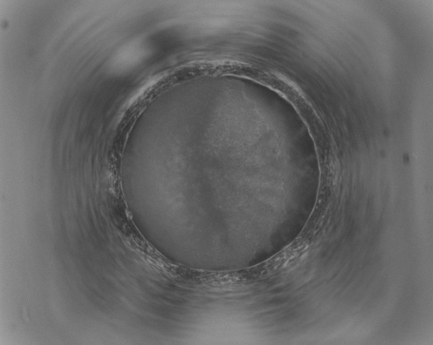 X0000072970823200608041216