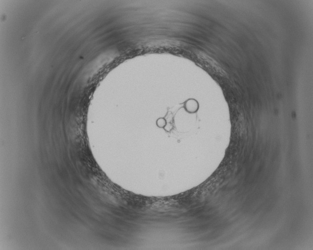 X0000072970824200608041216