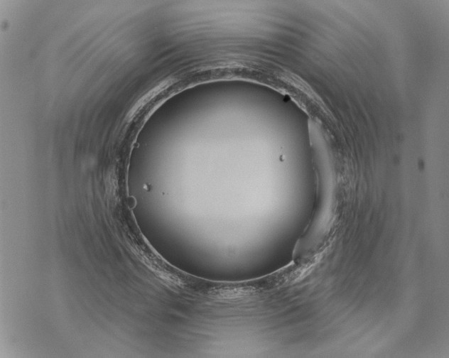 X0000072970826200608041216