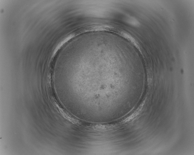 X0000072970827200608041216