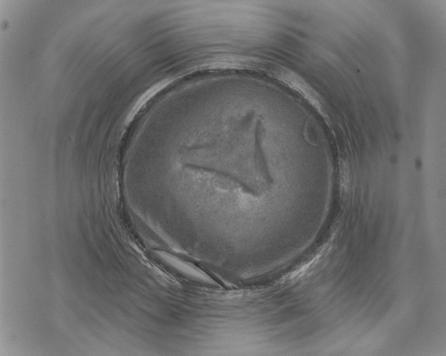 X0000072970829200608041216