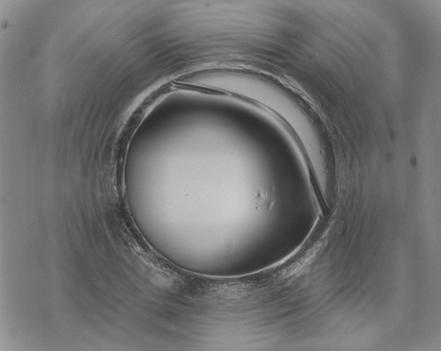 X0000072970830200608041216